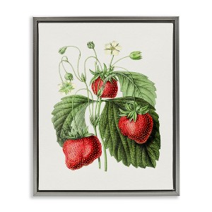 Stupell Industries Vintage Strawberries Study, 25" x 31" - 1 of 4