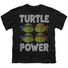 Teenage Mutant Ninja Turtles Turtle Power Faces Kids T Shirt For Youth, Black - 2 of 4