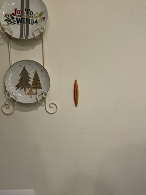 Guest review image 2 of 4, zoom in