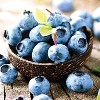 Van Zyverden 1ct Root BlueBerry Bluecrop - 3 of 4