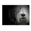 Trademark Fine Art -Lori Hutchison 'Sheepdog' Canvas Art - 2 of 3