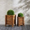 Boxwood Foliage Orb (Set of 2) - 2 of 3