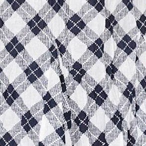 navy plaid
