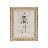Petal Lane 8"x10" Skeleton Anatomy Wall Art - 2 of 3