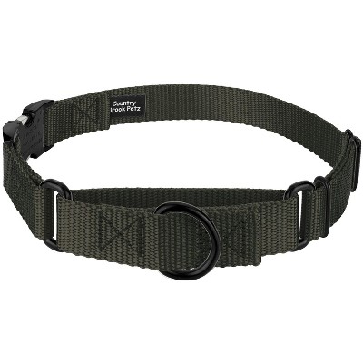 Country Brook Petz Heavyduty Nylon Martingale with Premium Buckle
