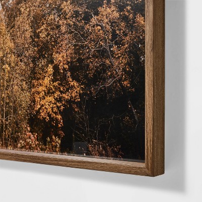 36" x 30" Golden Forest Landscape Canvas Print with Brown Frame