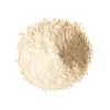 Organic Green Banana Powder - by Food To Live - 3 of 4