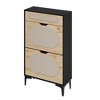 Shoe Cabinet, Rattan Shoe Storage With 2 Flip Drawer and 1 Pull-Out Drawer, Heavy Duty Metal Leg - 3 of 4