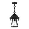 Livex Lighting Hamilton 1 - Light Pendant in  Black - 4 of 4