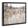 Stupell Industries Rural Pampas Grass Reeds Lakeside Pond Marsh Floating Frame Canvas Art - 2 of 4