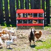 Roll Away Chicken Nesting Box, 8/10 Compartment Galvanized Steel Nest Box with Removable Tray - 2 of 4