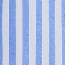 chicory blue stripe