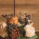 dark brown, medium brown, off white