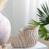 VisioGear Sand and Cement Conch Shell Planter with Textured Beige Finish, Modern Design for Indoor and Outdoor Spaces, Beige, 9"*5.5"*5.7" - 4 of 4