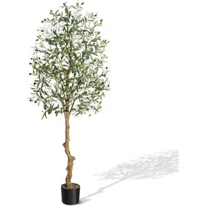 Faux Olive Tree - Fake Potted Olive Silk Tree Indoor with Moss Natural Olive Branches and Realistic Leaves - 1 of 4