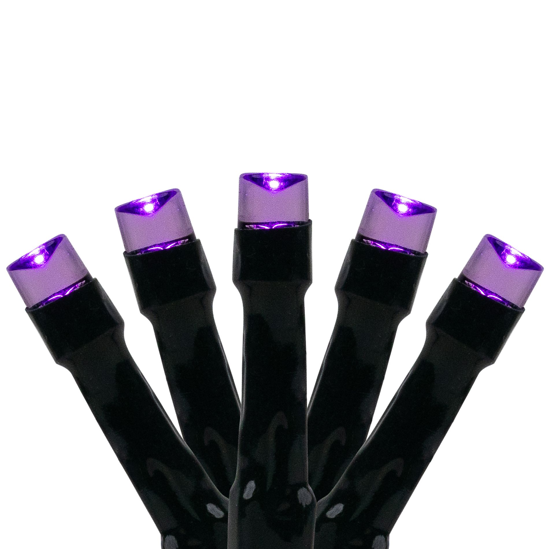 Northlight LED Wide Angle Halloween Lights - Purple - 10' Black Wire - 20ct