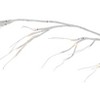 The Lakeside Collection 6-1/2 Ft. Birch Branch Garland - 2 of 4
