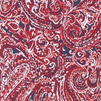 paisley print
