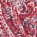 paisley print