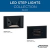 Progress Lighting, Louvered, 1 Light, Step/Wall Light, Brushed Nickel, No Shade, Material: Steel, Finish Color: Black - 4 of 4