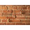 Climbing Man Classic Wall-Art Sculpture - 3 of 4