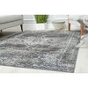 Rugs America Preston Transitional Vintage Area Rug - 3 of 4