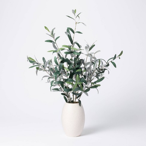 30" x 24" Artificial Olive Plant Arrangement in Pot - Threshold™ designed with Studio McGee - image 1 of 3