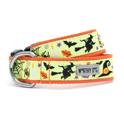 1 Inch Wide Squirrel Essential Dog Collar