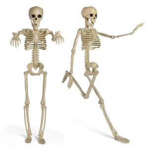 Presence 24-inch Halloween Adjustable Skeleton Prop - 1 of 4