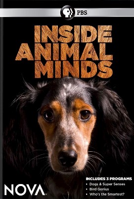 Nova: Inside Animal Minds (DVD)(2014)