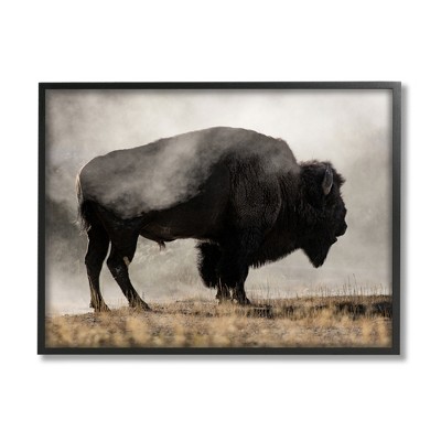 Stupell Industries Powerful Bison Grazing Foggy Rural Pasture Photography Framed Giclee Art