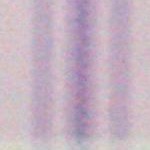 lavender pink plaid