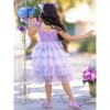 Springtime Fairy Lace and Stars Tiered Tutu Dress Mia Belle Girls - 4 of 4
