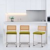 Bekrvio Bar Stools Set of 2/3/4, 26”/30" Barstool with Rattan Back, Velvet-Upholstered & Chrome Frame,Mid Century Modern Kitchen Stool for Island - 3 of 4