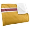 Midwestern State University Primary Logo Stripes Silky 50x60 Blanket, 1 Sided - 3 of 4