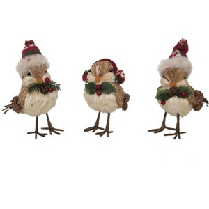 Transpac Foam Sisal Bird w/Hat Set of 3 Christmas Home Decorations - 1 of 1