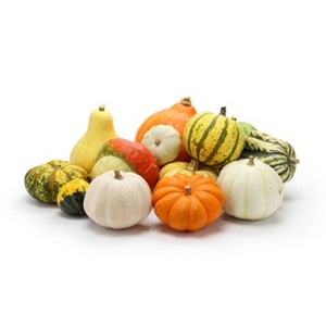 Mixed Ornamental Gourds - 1 of 4