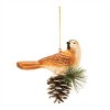 Glittered Glass Bird and Piencone Ornament (Set of 6) - 3 of 3