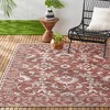 Country Ayala Indoor/Outdoor Rug - Nicole Miller - 2 of 4