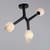 ET2 Lighting Blossom 3 - Light Flush Mount in  Black - 3 of 4