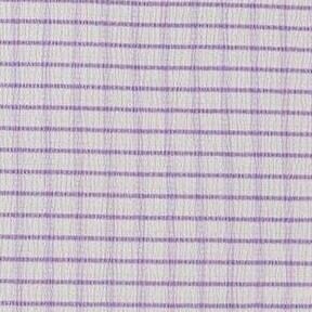 white checkered lilac