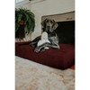 Big Barker 7" Orthopedic Dog Bed - Sleek Edition - 3 of 4