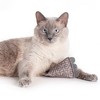 Hauspanther ModShakers Cat Toys by Primetime Petz Playtime Pleasures for Every Furry Friend - 3 of 4