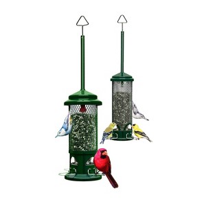 Brome Squirrel Buster Mini Squirrel-Proof Bird Feeder with Metal Perches - 1 of 3
