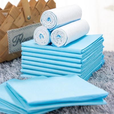 Large Blue Disposable Puppy Training Pads 22" x 22" 100 Pack