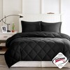 Lyngins Comforter Set, 3M Scotchgard Stain Release Bedding Set, Reversible Diamond Quilting,1 Comforter & 1 Sham, OEKO-TEX Certified - 3 of 4
