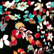 black multi ditsy floral