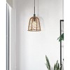 Cal Parkton 60W Metal Pendant with Burlap Roped Shade - 4 of 4