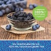 Herbaila Dried Blueberries – All-Natural, No Preservatives, Non-GMO Whole Dried Fruit – 1lb Resealable Bulk Bag - 3 of 4