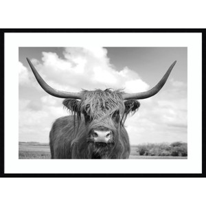 41" x 30" Highland Cow On the Ranch by Andre Eichman Framed Wall Art Print Black - Amanti Art: Modern Decor, Animal Photography - 1 of 4